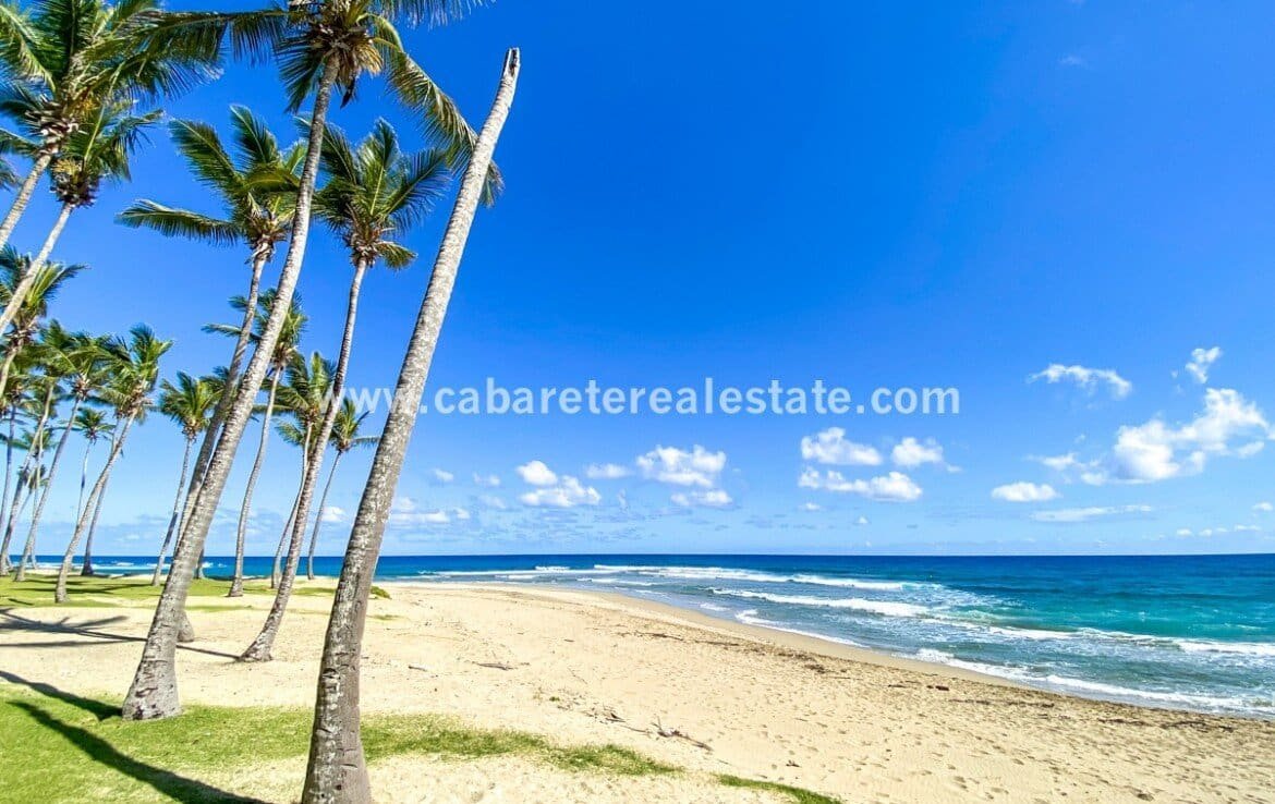 Tropical Caribbean Oceanfront Land Encuentro beach front land Cabarete Dominican Republic