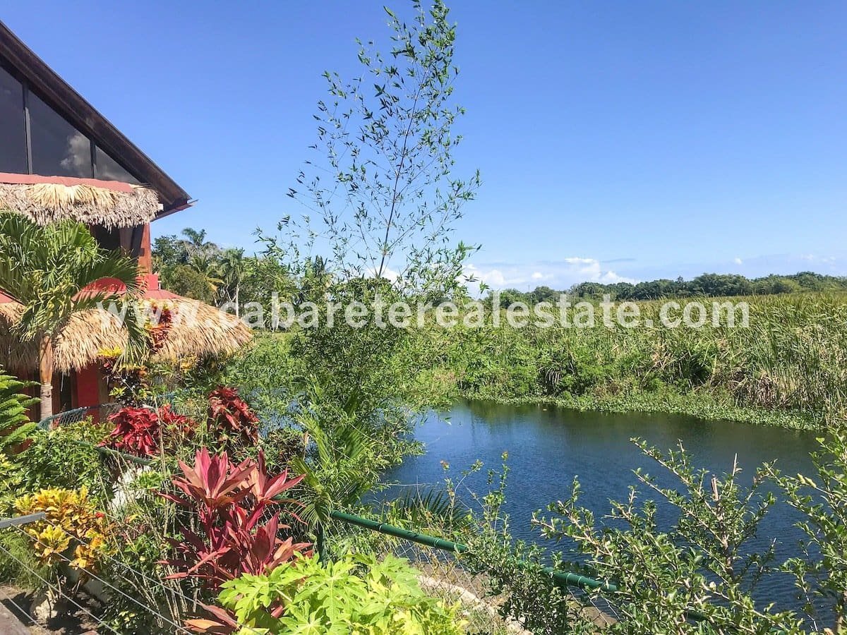 Vue sur la lagune de la réserve naturelle BB Cabarete République dominicaine 