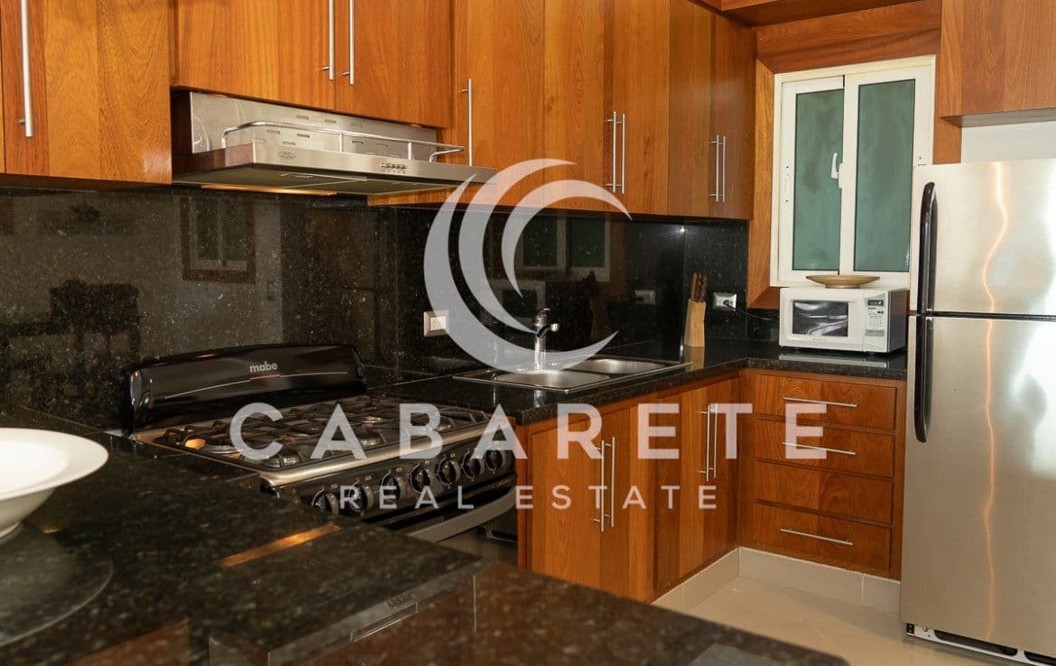 Contemporary Cabarete Beach Condo 18
