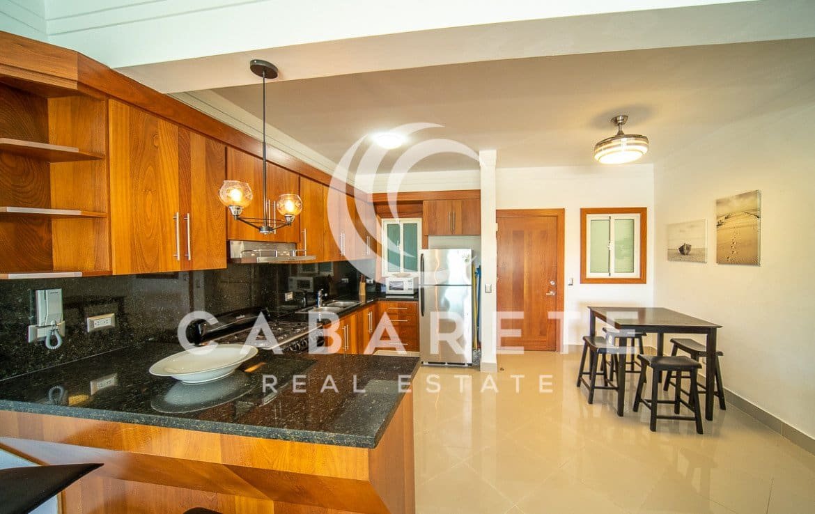 Contemporary Cabarete Beach Condo 2