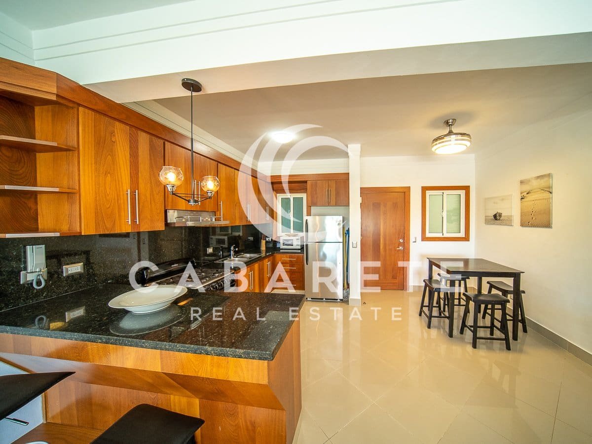Contemporain Cabarete Beach Condo 2
