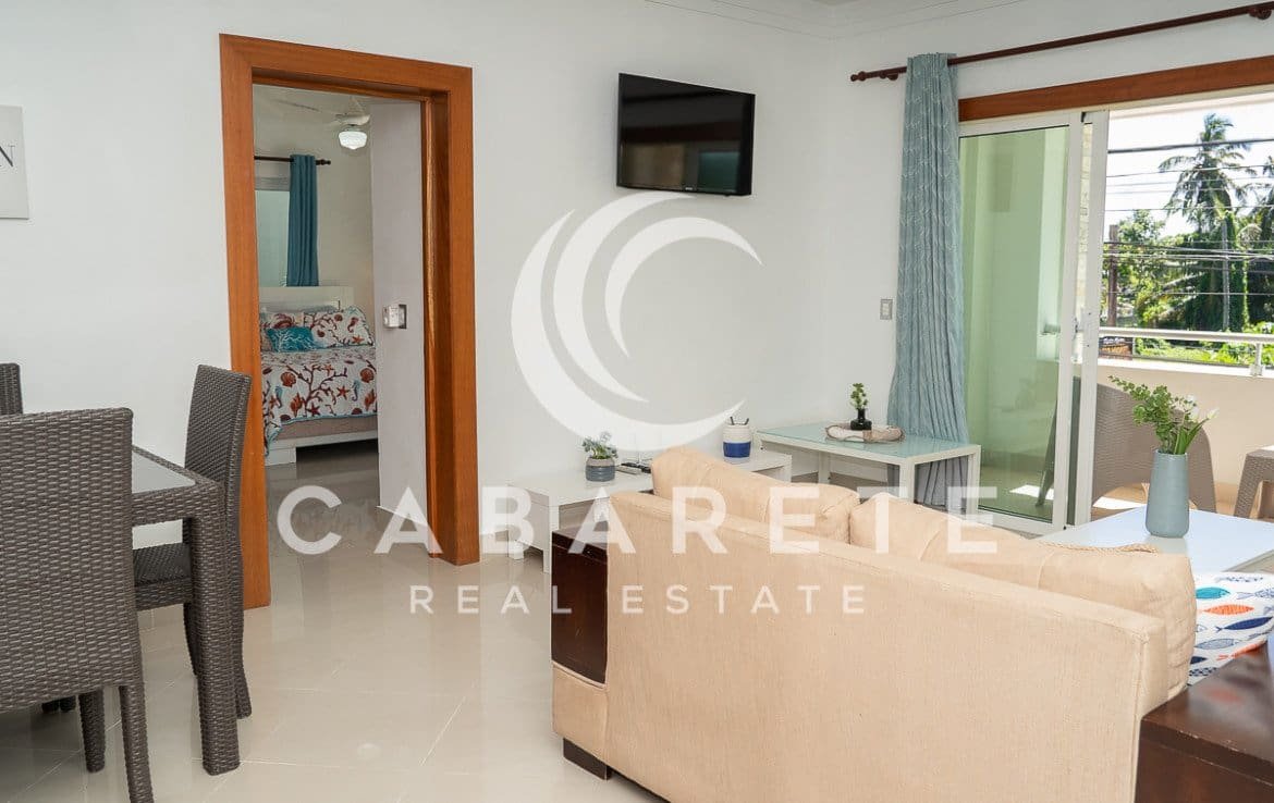 Contemporary Cabarete Beach Condo 20