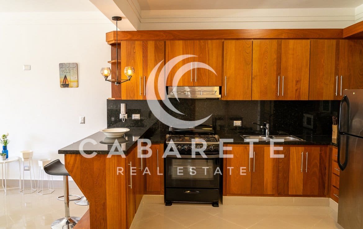 Contemporary Cabarete Beach Condo 28