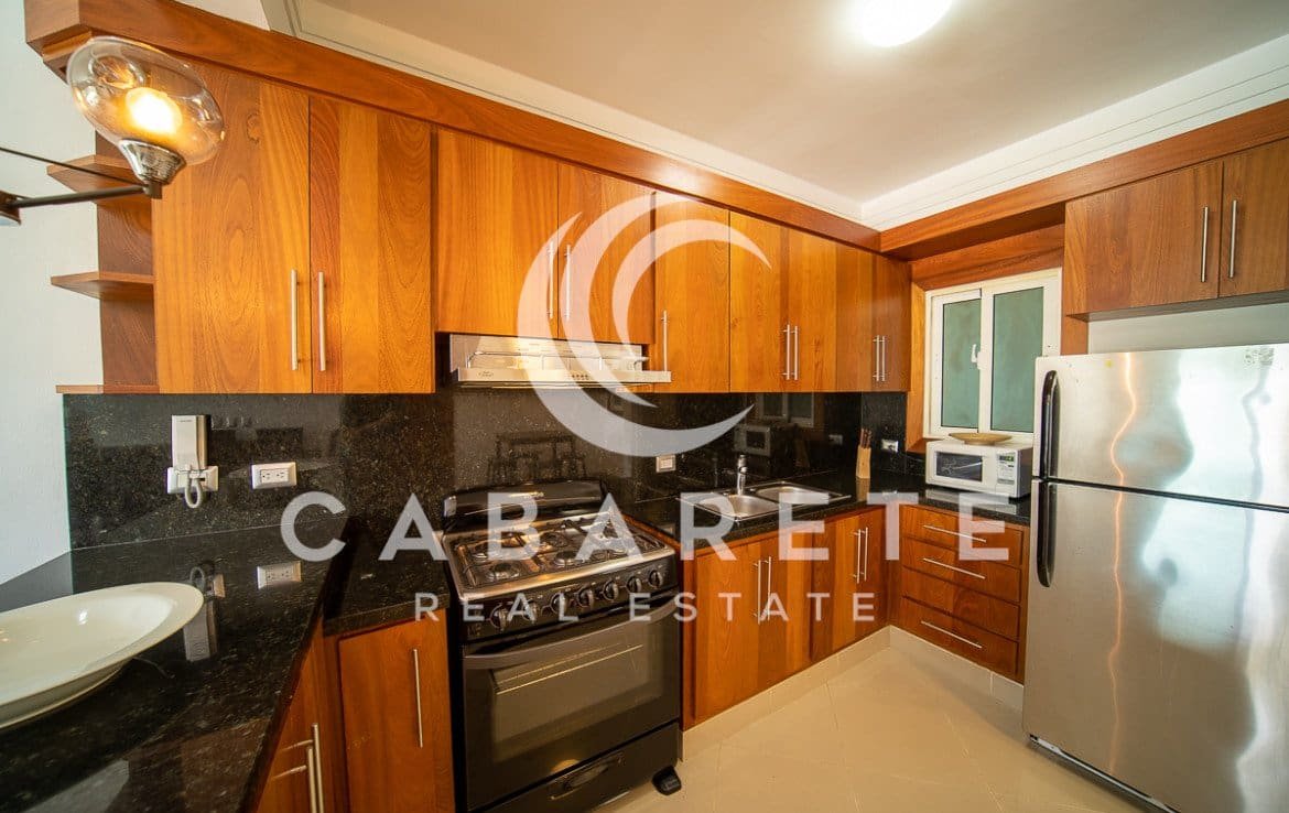 Contemporary Cabarete Beach Condo 3