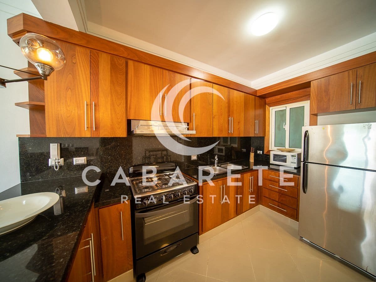 Contemporain Cabarete Beach Condo 3