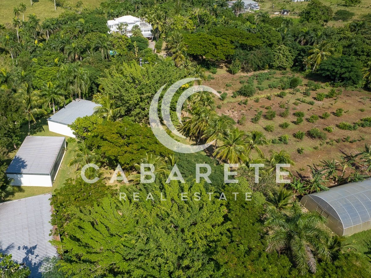 Vaste domaine de Los Brazos avec verger tropical 1 1