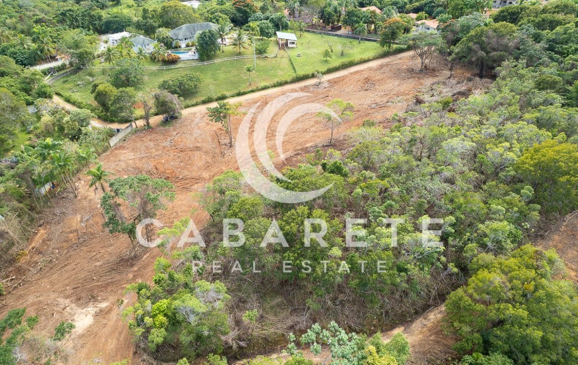 Residential Land in Tropical Setting 6