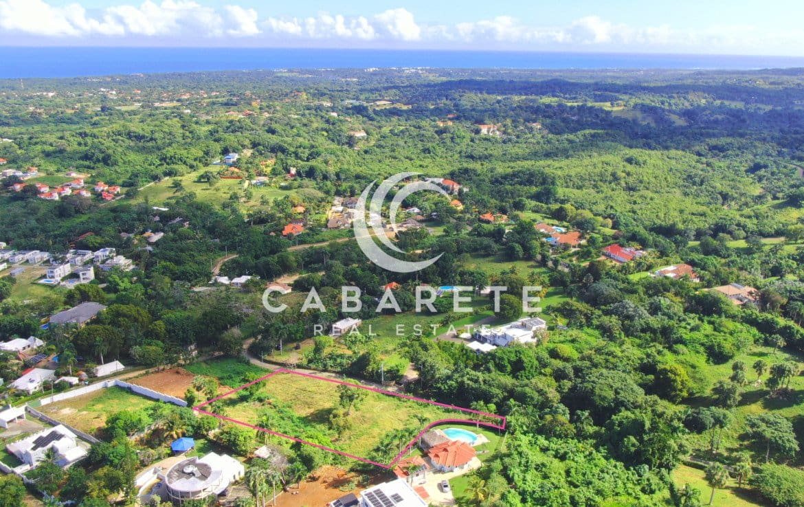 Land nestled in nature with a clear building area and surrounding green canopy.