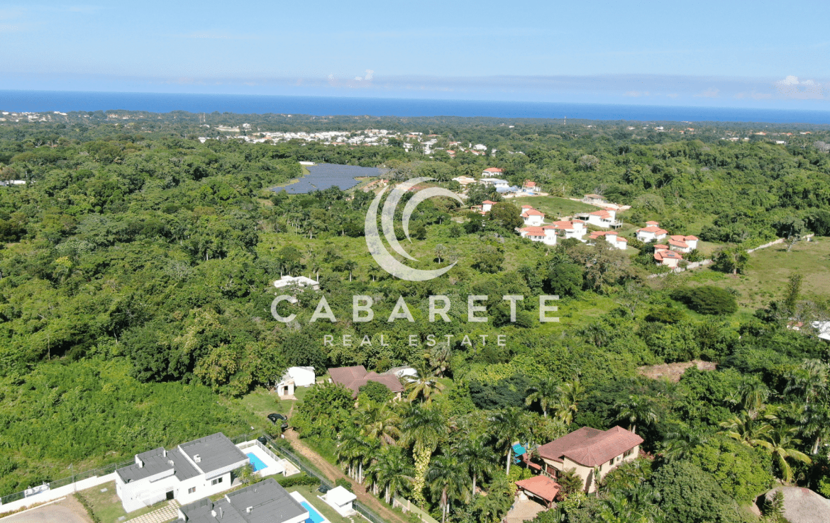 A spacious green lot surrounded by tropical trees, ideal for building a private villa near Cabarete Beach.