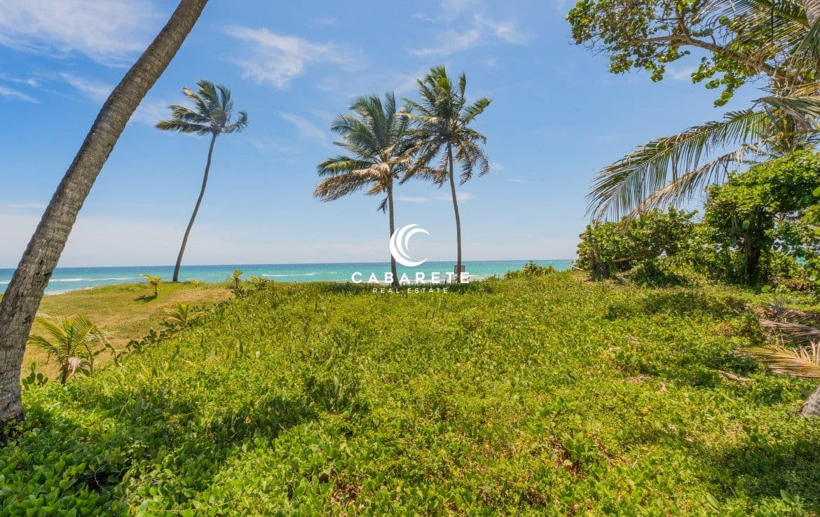 Terrain verdoyant en pleine nature à côté d'une maison de 4 chambres à coucher en bord de mer à vendre à Cabarete, Puerto Plata, avec un aménagement paysager tropical dynamique.