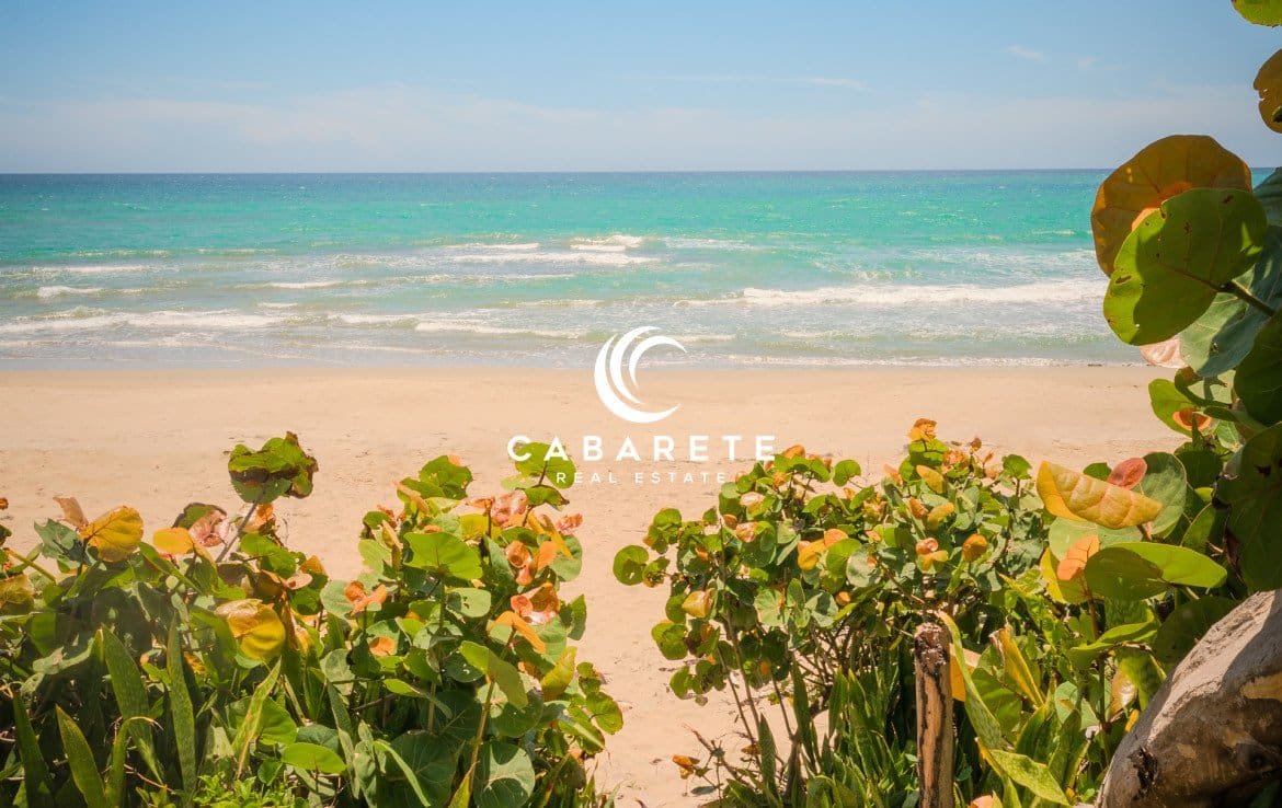 Propriété en bord de mer à vendre à Cabarete, Puerto Plata, avec accès à la plage et vue sur l'océan.