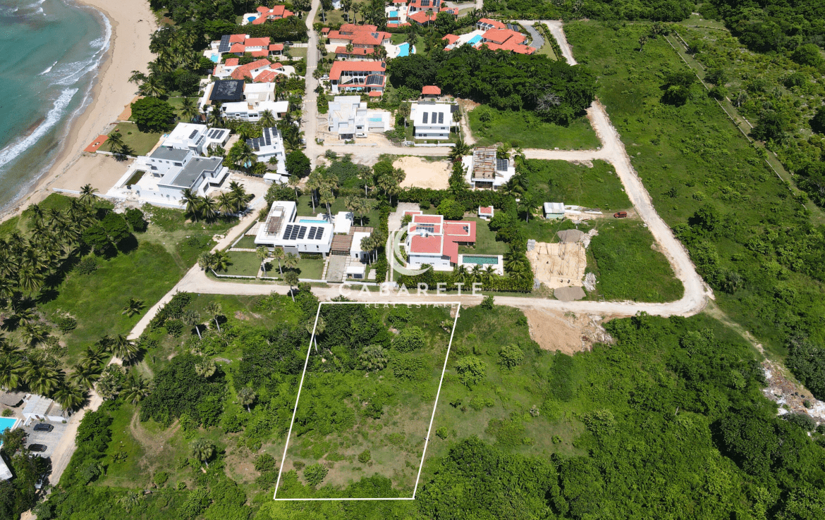 Beachfront Estate from Above