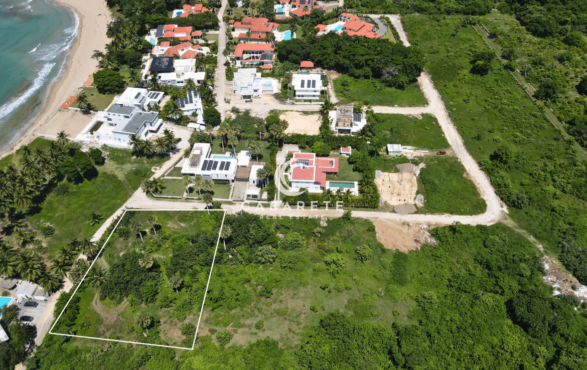 Beachfront Estate from Above