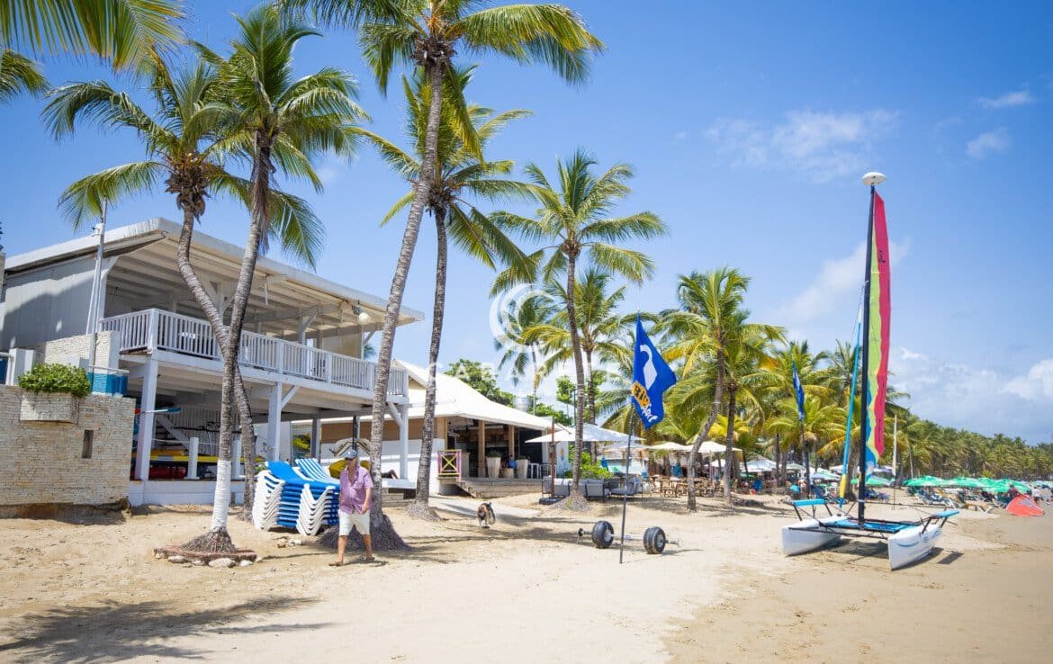 Cabarete 22