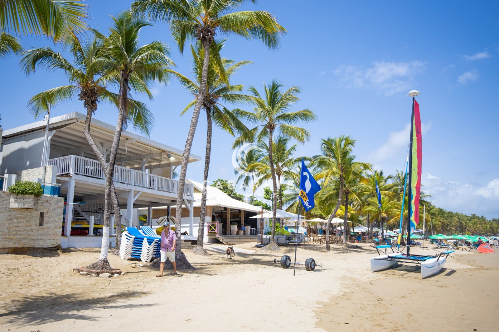 Cabarete 22