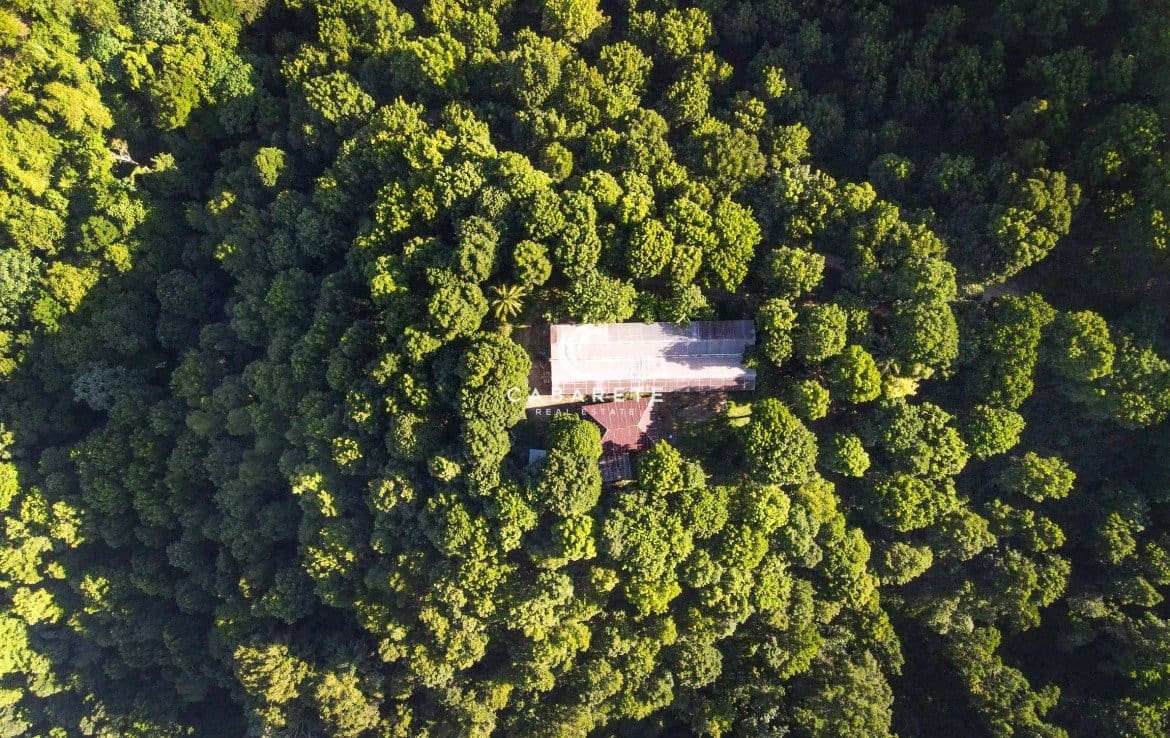 Propriété nichée dans une ferme luxuriante à Jamao Al Norte, République dominicaine.
