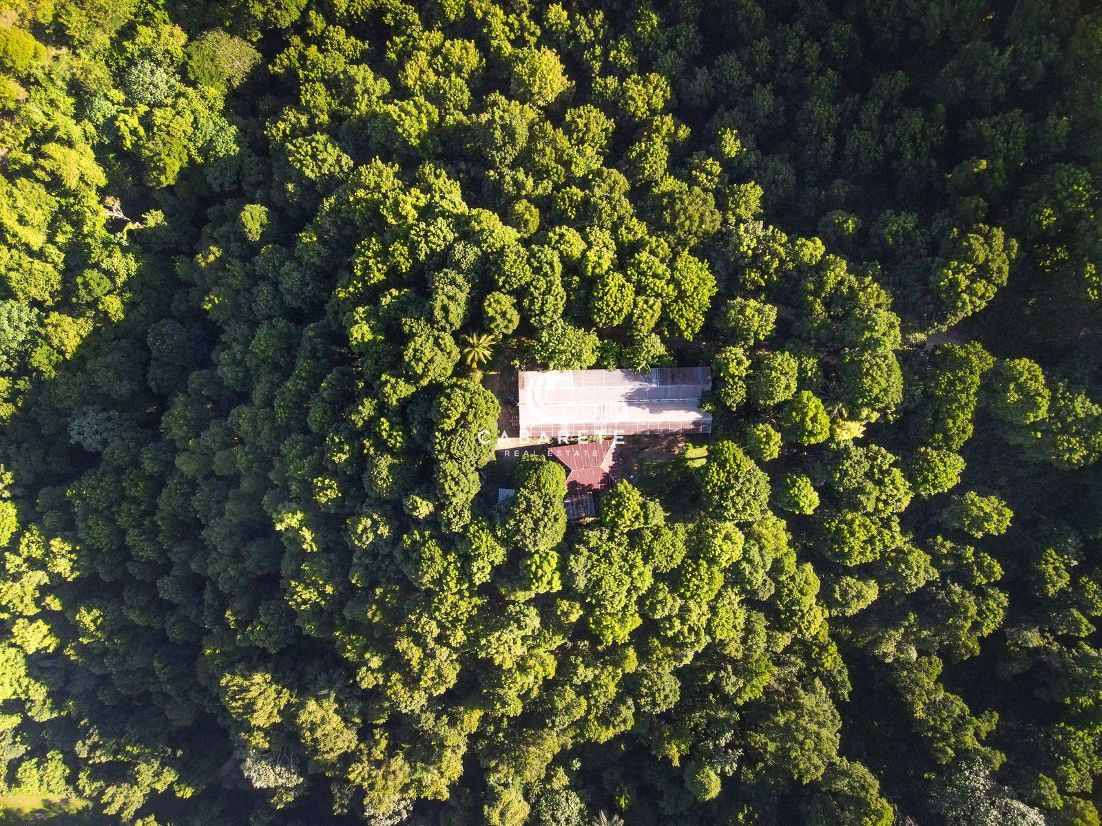 Grundstück inmitten eines üppigen Farmlandes in Jamao Al Norte, Dominikanische Republik.