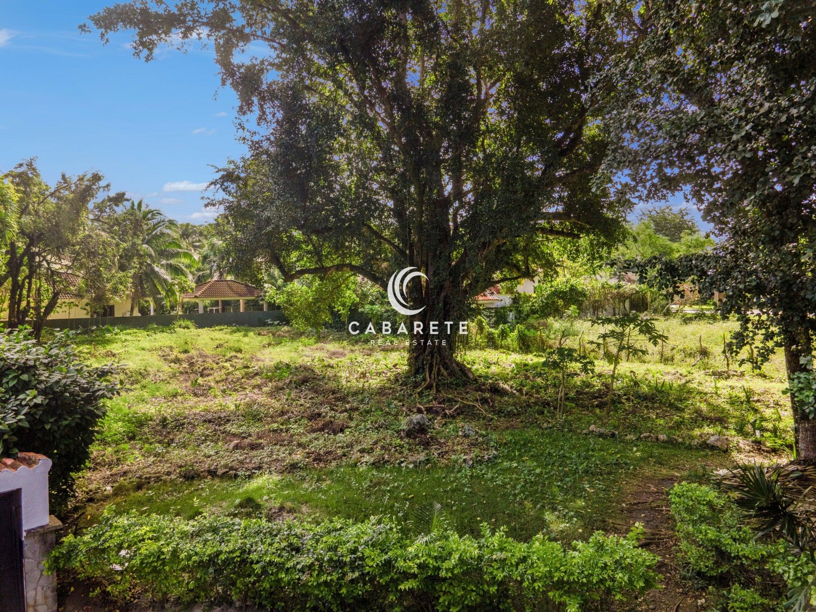 Prime land for sale in Perla Marina, Dominican Republic – a spacious tropical lot with lush greenery and private beach access.