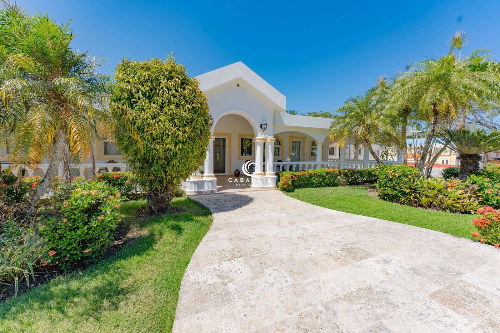 Elevated Cabarete lot surrounded by lush greenery and ideal for eco-conscious development. #GreenLiving #CabareteLots #DominicanRealEstate