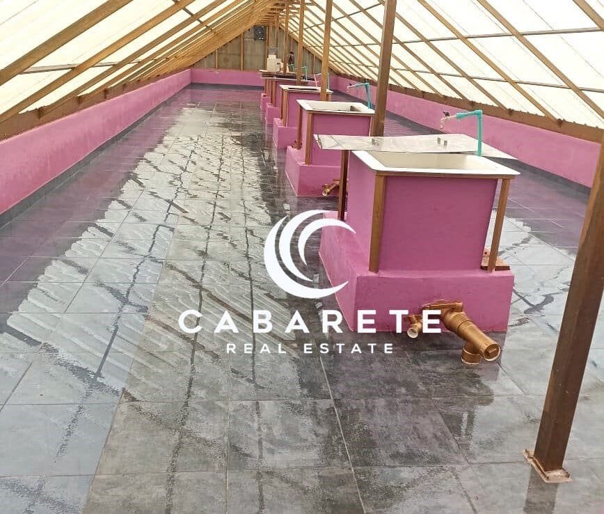 Organic cacao farm featuring a working chocolate factory just minutes from Cabarete’s beaches and amenities