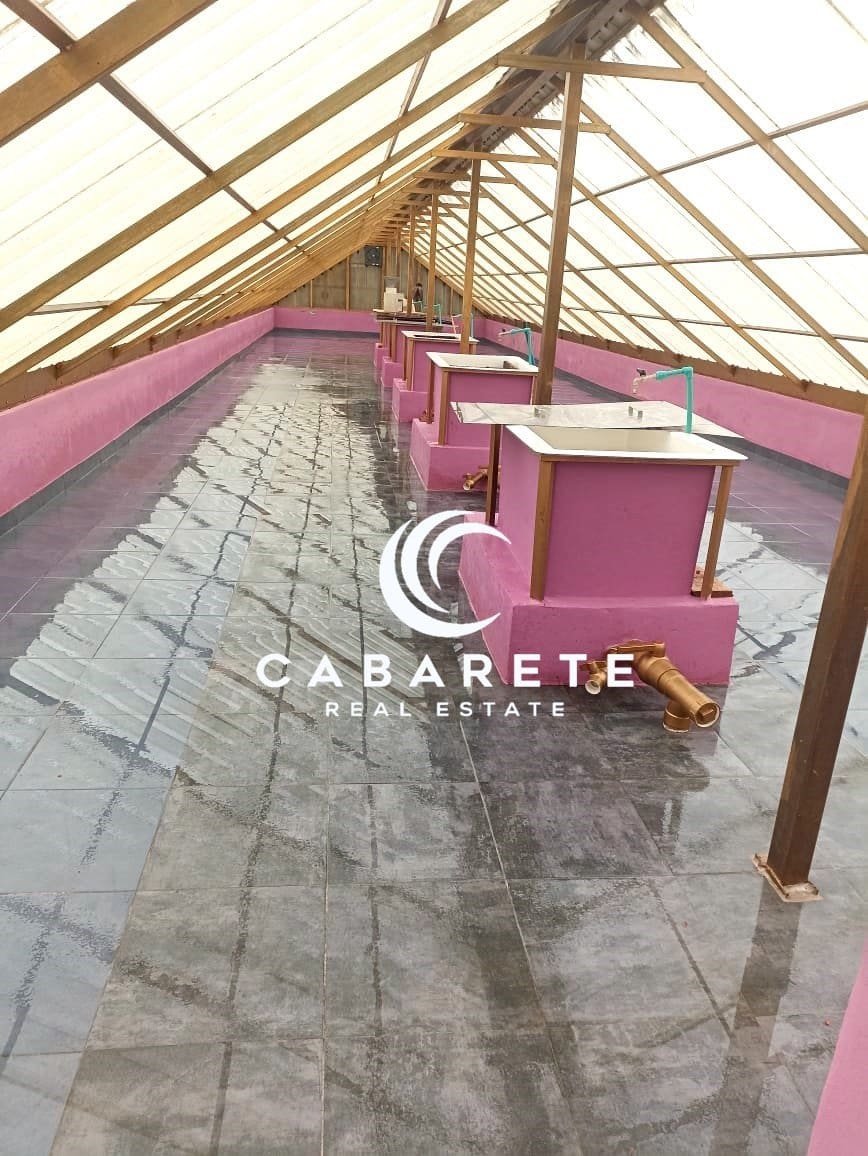 Organic cacao farm featuring a working chocolate factory just minutes from Cabarete’s beaches and amenities
