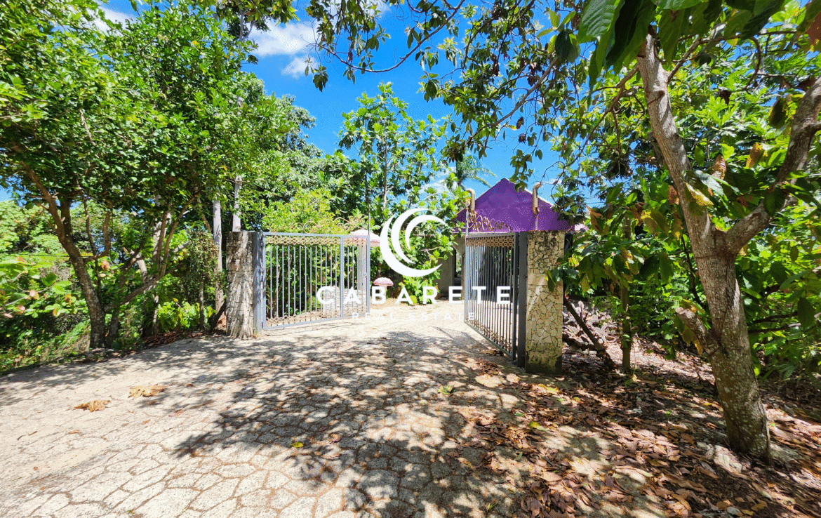 Cacao plantation property with eco-tourism potential located in the lush hills near Cabarete, Dominican Republic