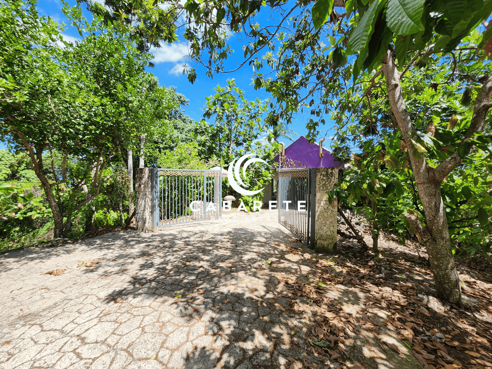 Cacao plantation property with eco-tourism potential located in the lush hills near Cabarete, Dominican Republic