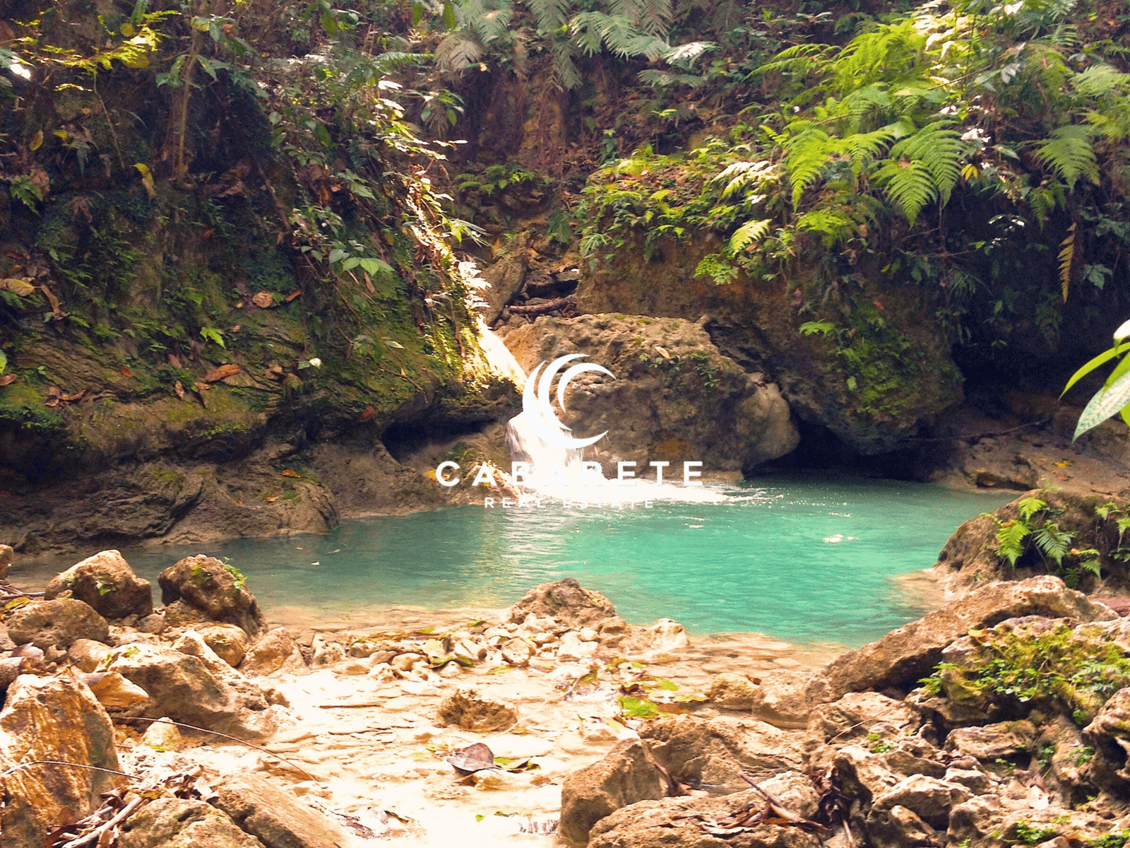 Cacao farm located in a prime agricultural zone just 30 minutes from Cabarete, ideal for development or production