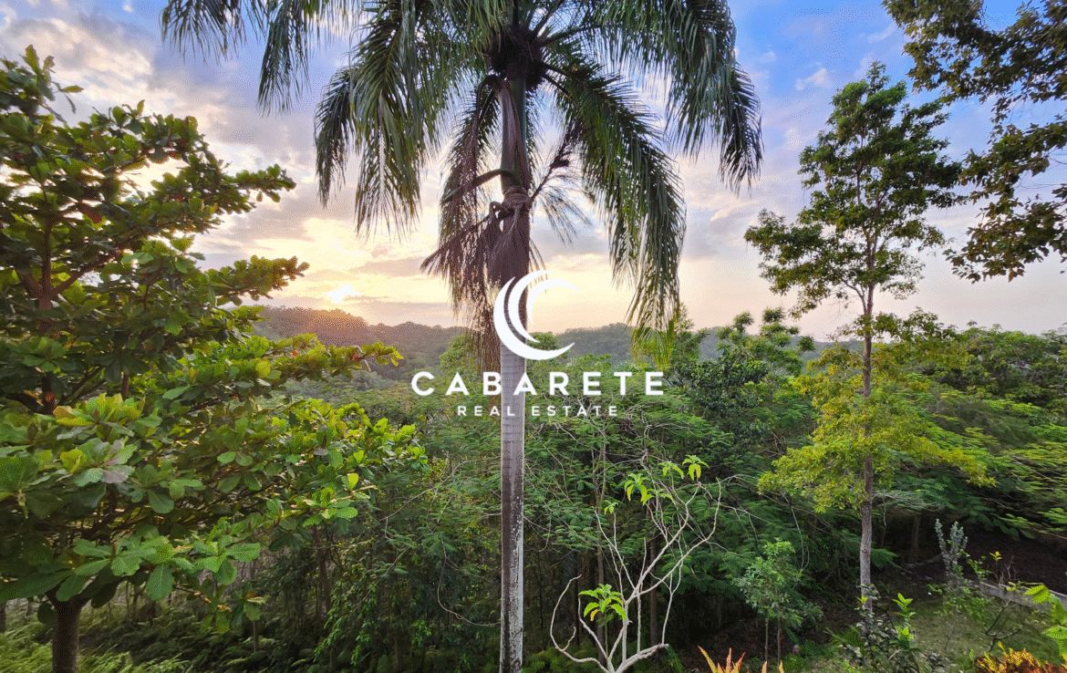 This cacao farm includes a chocolate factory and is perfectly situated for developing tourism activities such as plantation tours and chocolate workshops