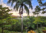 Fully functional cacao farm with on-site chocolate production and eco-tourism opportunities in the Dominican Republic
