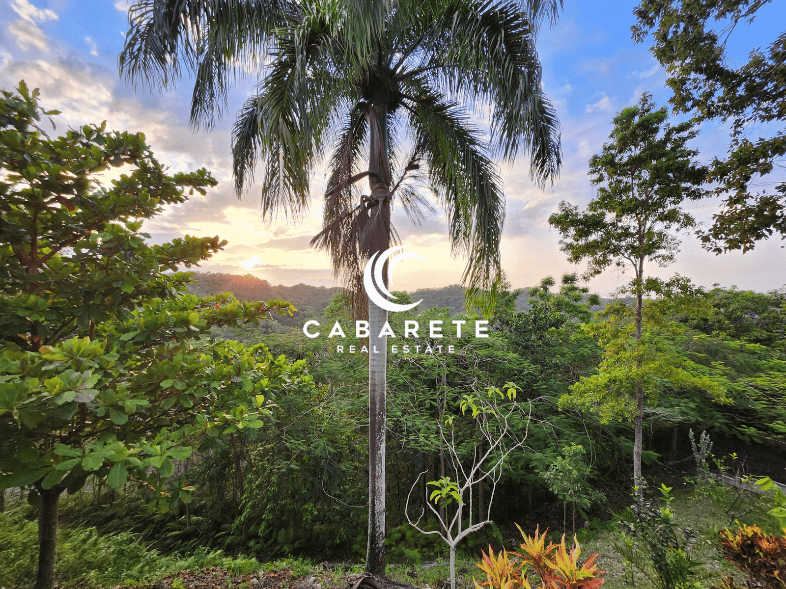 This cacao farm includes a chocolate factory and is perfectly situated for developing tourism activities such as plantation tours and chocolate workshops
