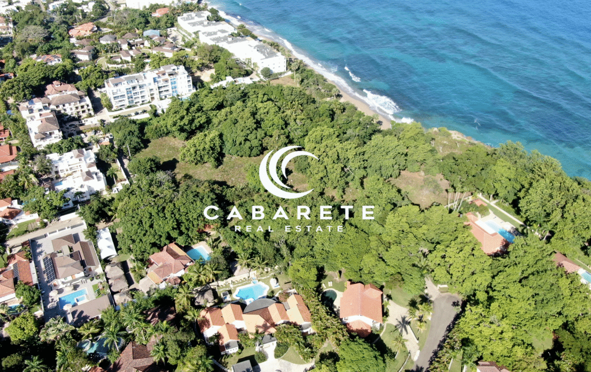 Bird’s-eye view of large undeveloped beachfront plot bordered by clear waters and green vegetation