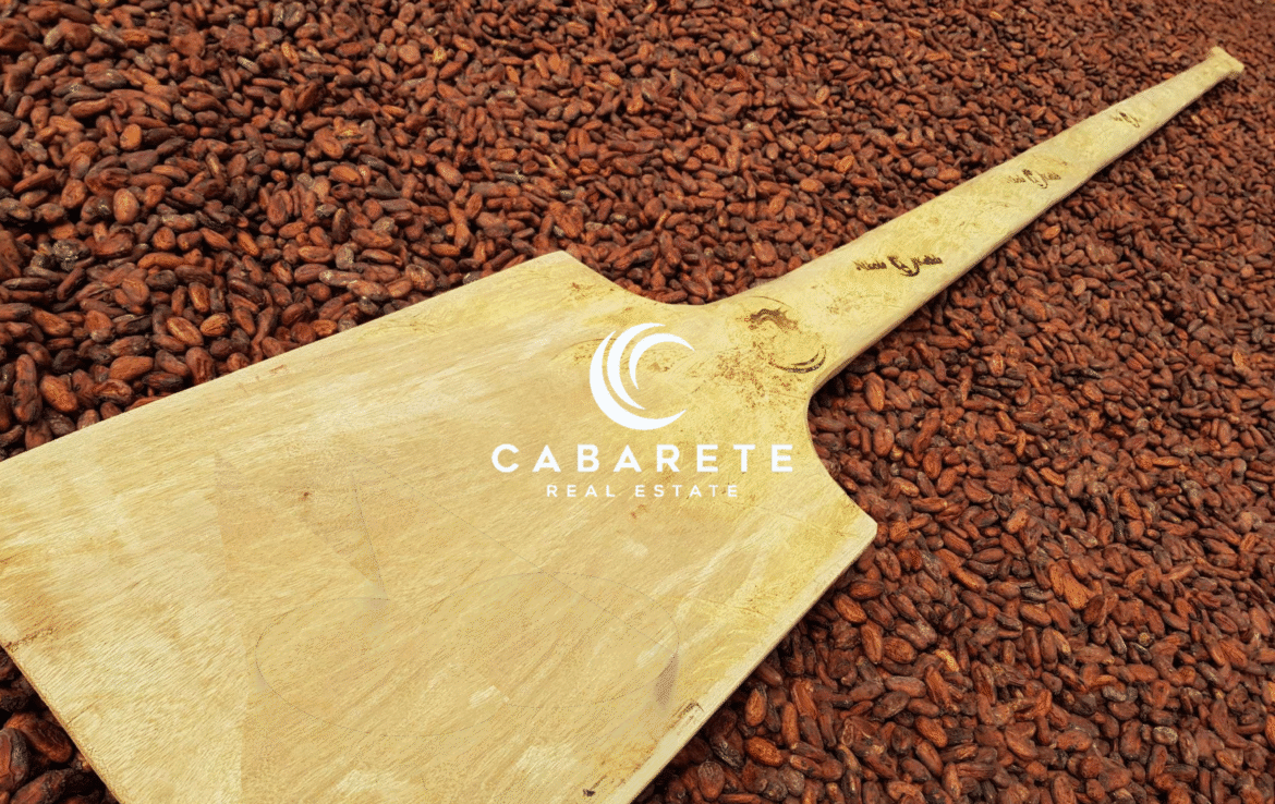 A lush organic cacao farm in the Dominican Republic featuring tourism potential and a fully equipped chocolate factory