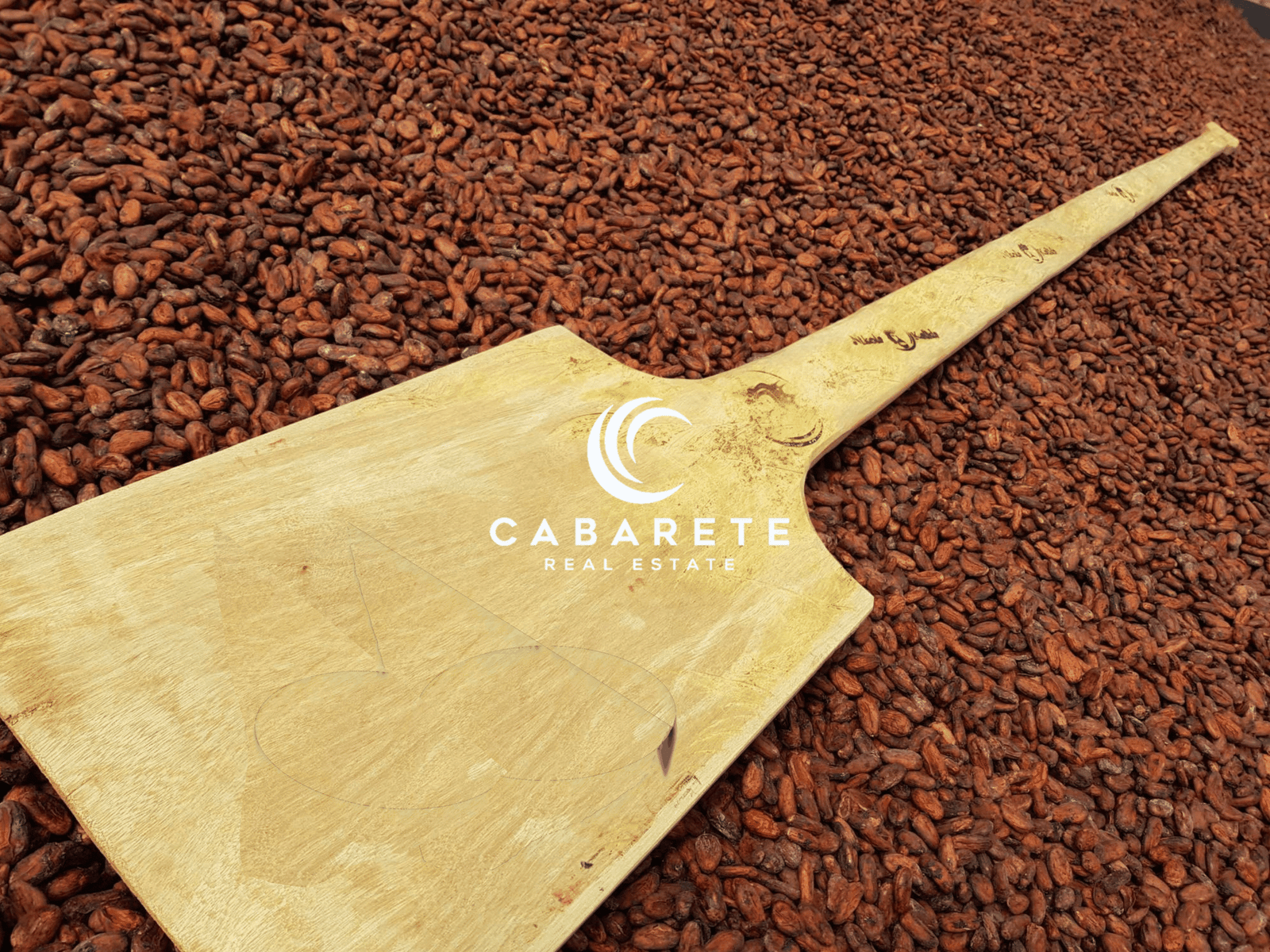 A lush organic cacao farm in the Dominican Republic featuring tourism potential and a fully equipped chocolate factory