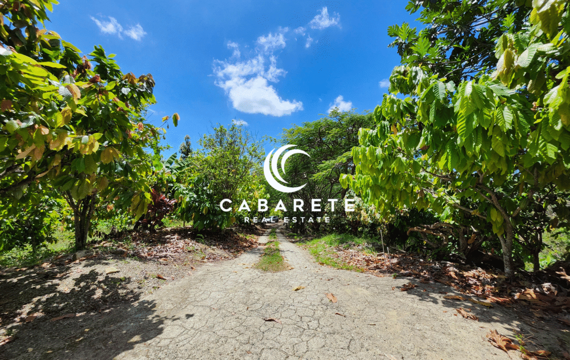 Scenic cacao farm in the Dominican Republic offering mountain and coastline views along with a fully operational chocolate facility