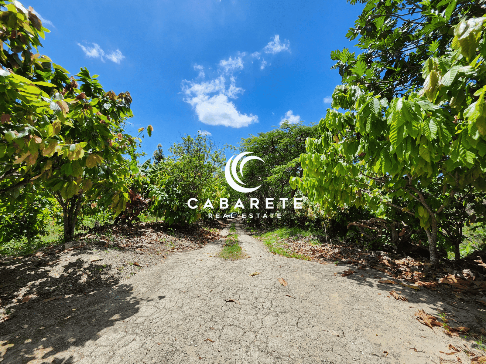 Scenic cacao farm in the Dominican Republic offering mountain and coastline views along with a fully operational chocolate facility
