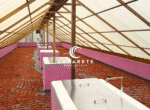 Fully equipped chocolate factory and cacao farm for sale in the Dominican Republic
