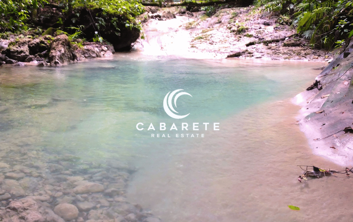 Cacao farm and chocolate facility located near Cabarete, offering strong production capacity and development options