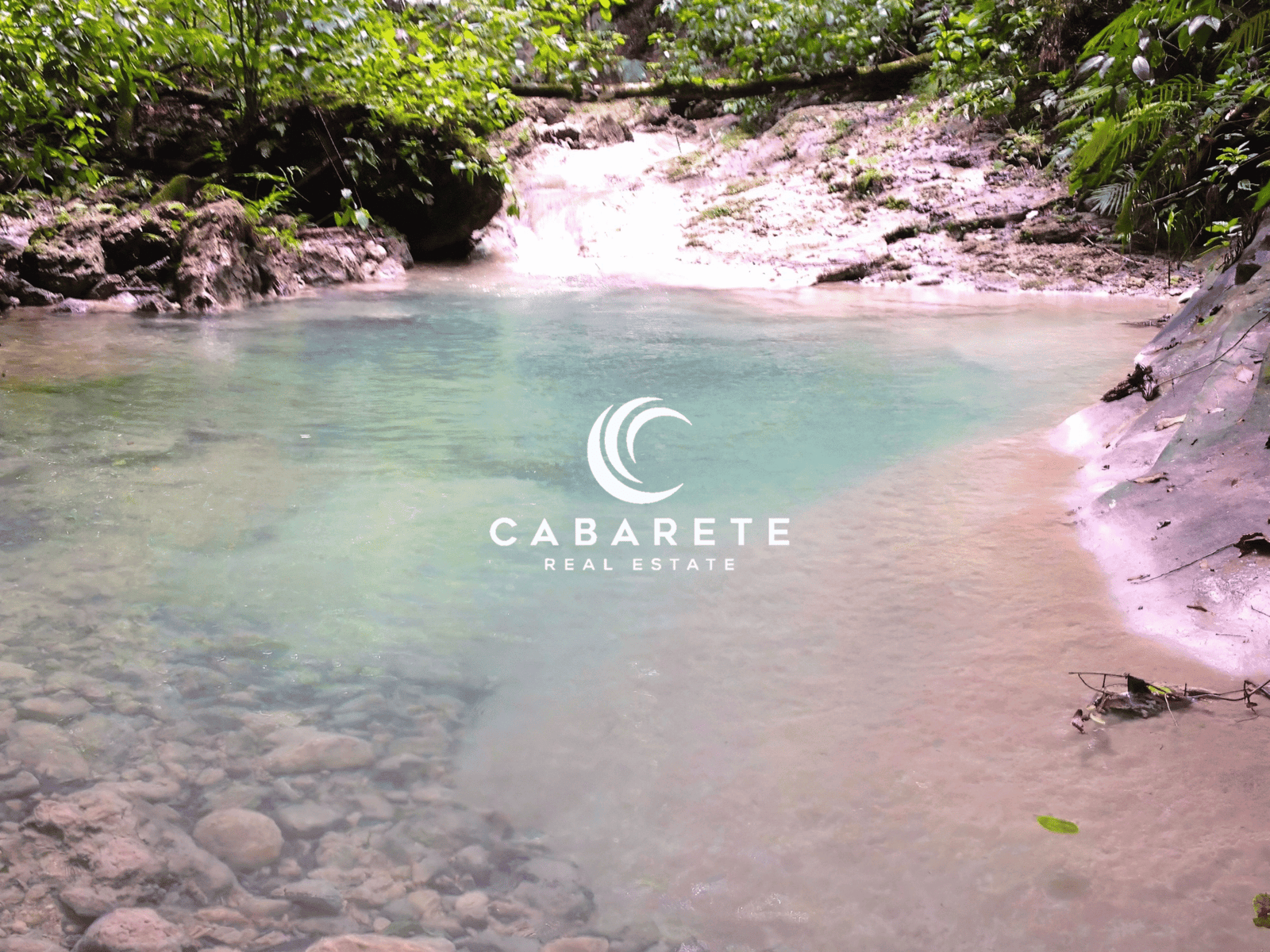 Cacao farm and chocolate facility located near Cabarete, offering strong production capacity and development options