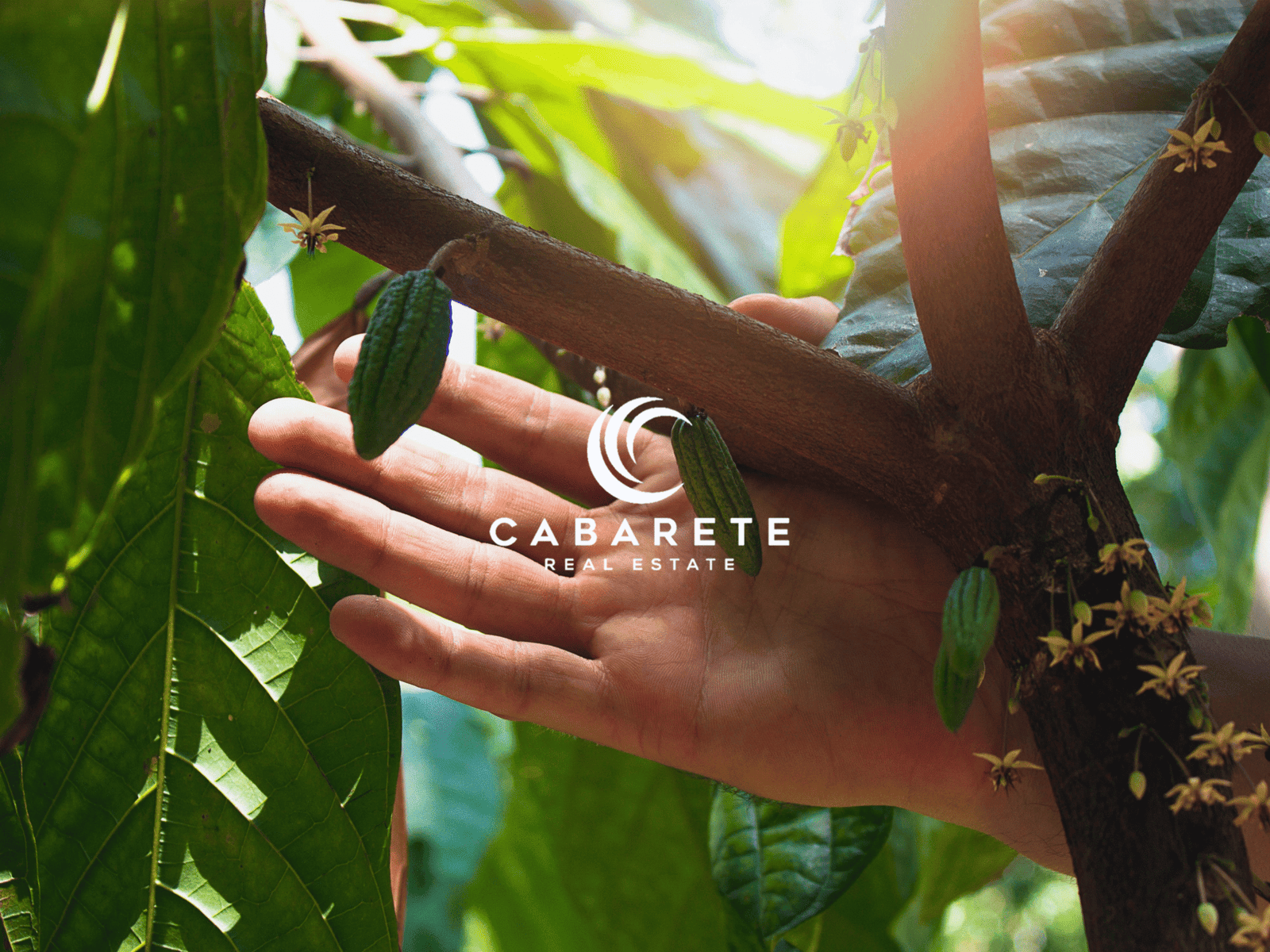 dominican republic land with chocolate factory and farm