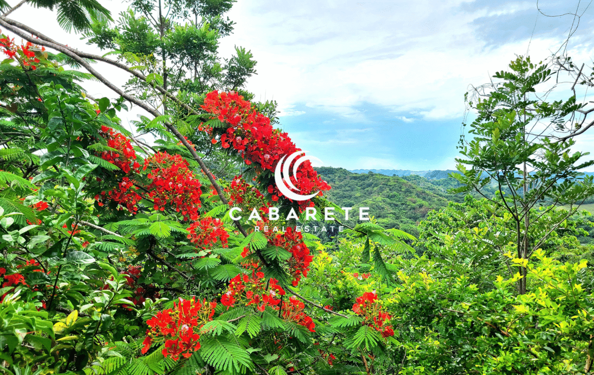 eco tourism land for sale cabarete cacao plantation