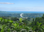 Dominican Republic real estate listing featuring an organic cacao farm and a functioning chocolate factory