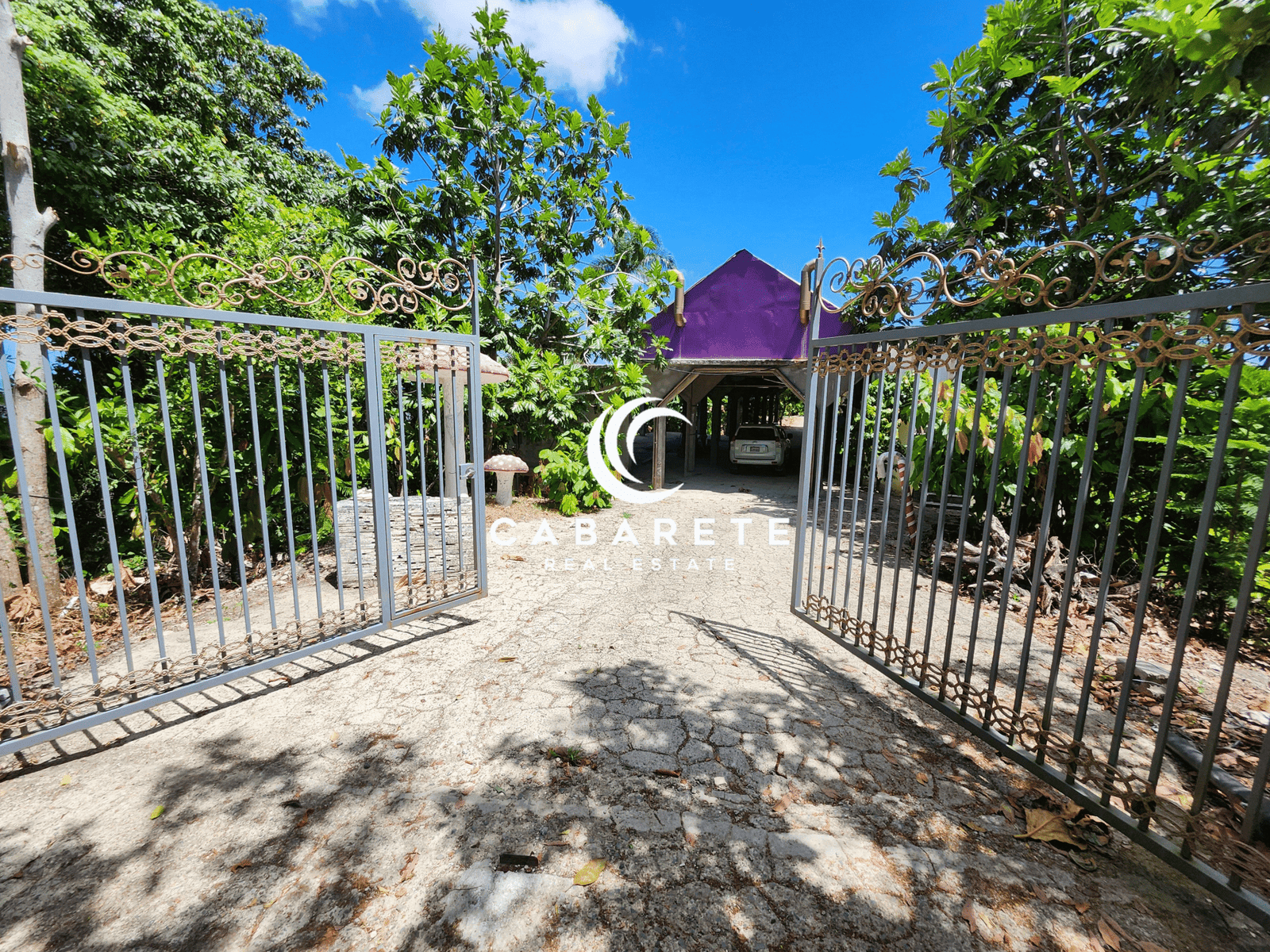 Turnkey cacao farm investment in the Dominican Republic with chocolate factory, fertile land, and eco-tourism development options