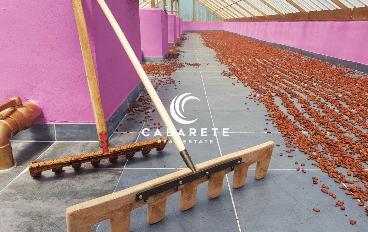 This cacao farm in the Dominican Republic includes a fully equipped chocolate factory, ideal for agricultural entrepreneurs and investors