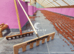 Dominican Republic chocolate factory and cacao farm for sale with sustainable farming and production facilities
