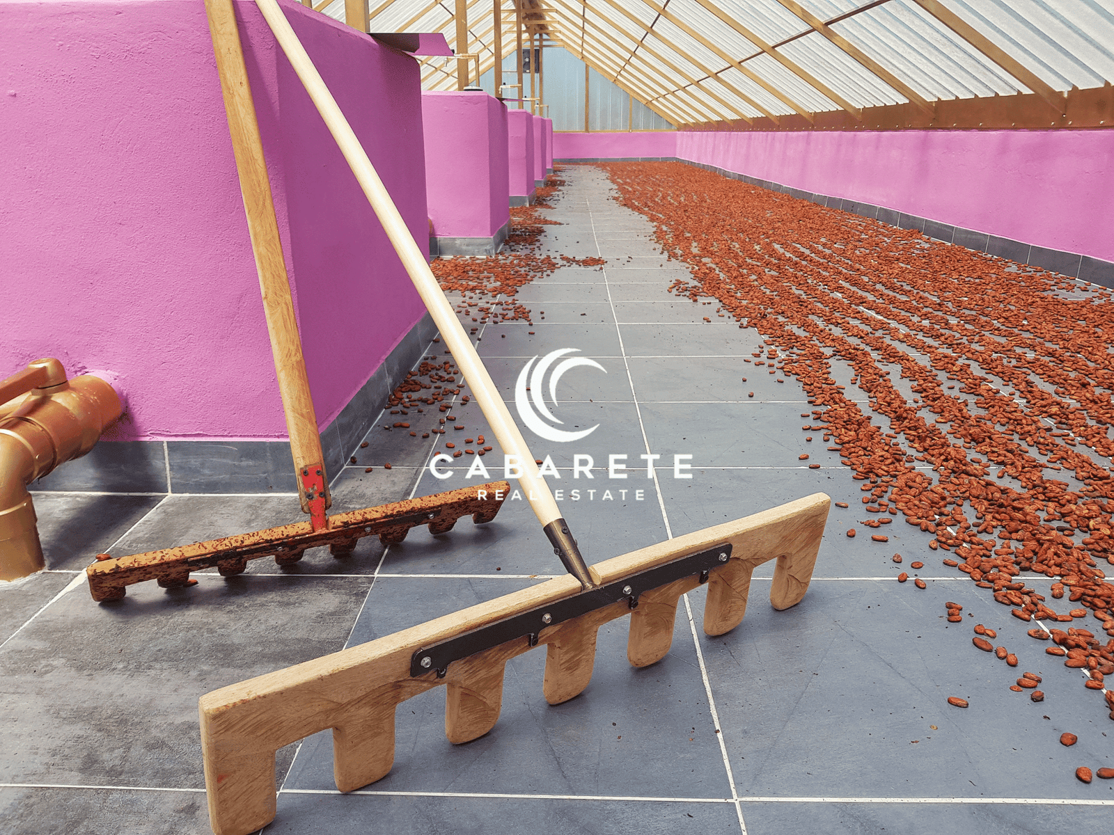 This cacao farm in the Dominican Republic includes a fully equipped chocolate factory, ideal for agricultural entrepreneurs and investors