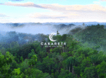 Dominican cacao farm with solar power and chocolate factory for sale in the heart of the Caribbean
