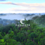 This sustainable cacao farm features a fully operational chocolate factory and solar power systems, perfect for eco-conscious investors
