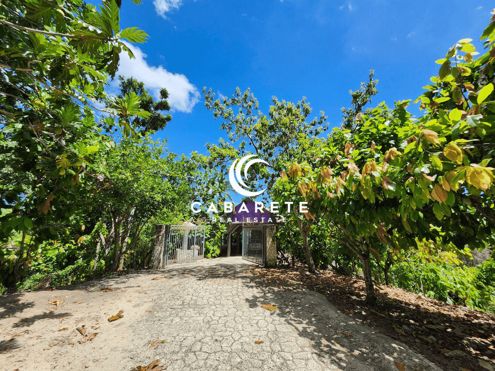 This cacao farm in the Dominican Republic features a chocolate production facility and breathtaking panoramic views, offering both agricultural and tourism potential