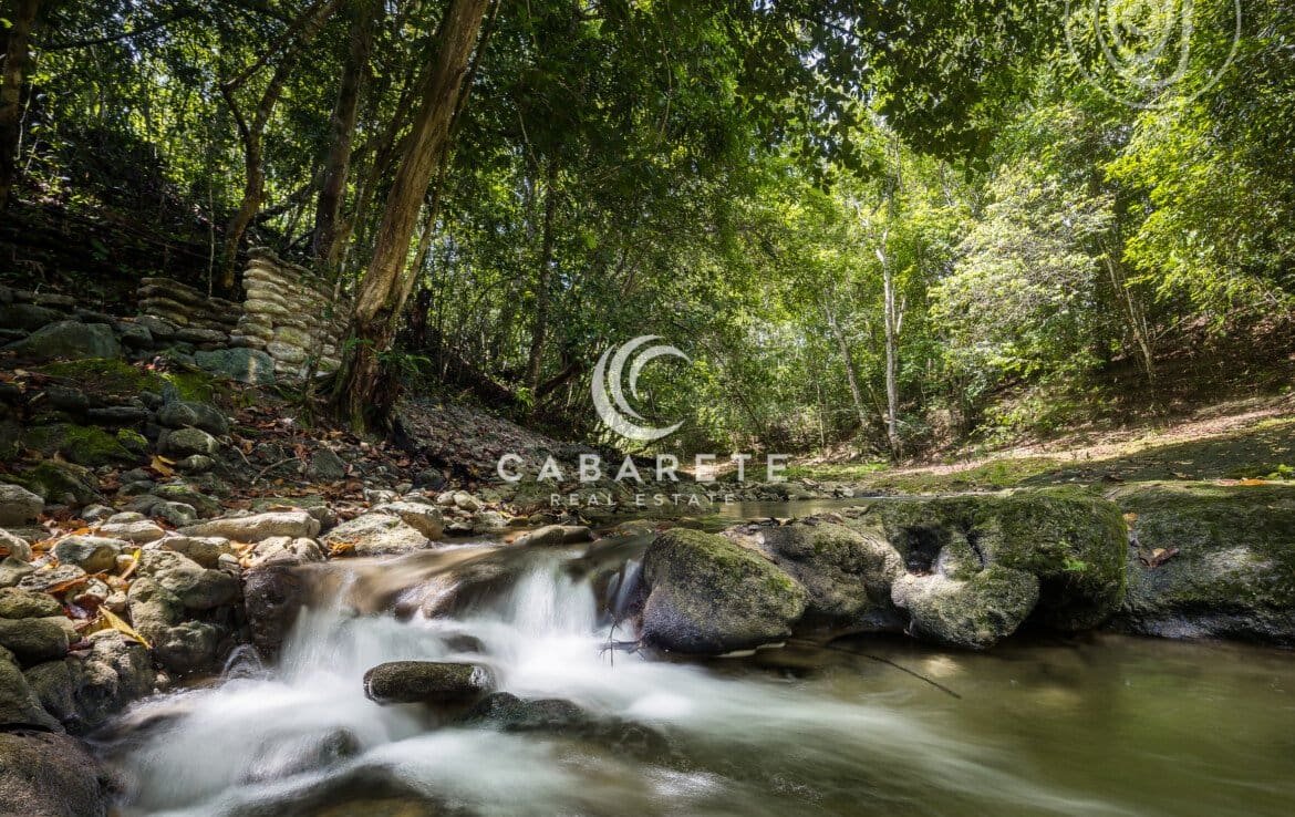 Eco Investment: Luxury Land Opportunity